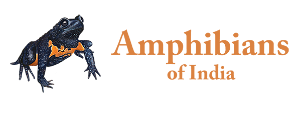 Amphibians of India